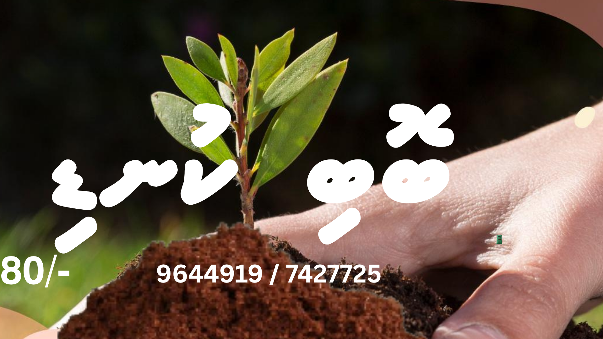 Cocopeat grow bags available from Fahigovaan.