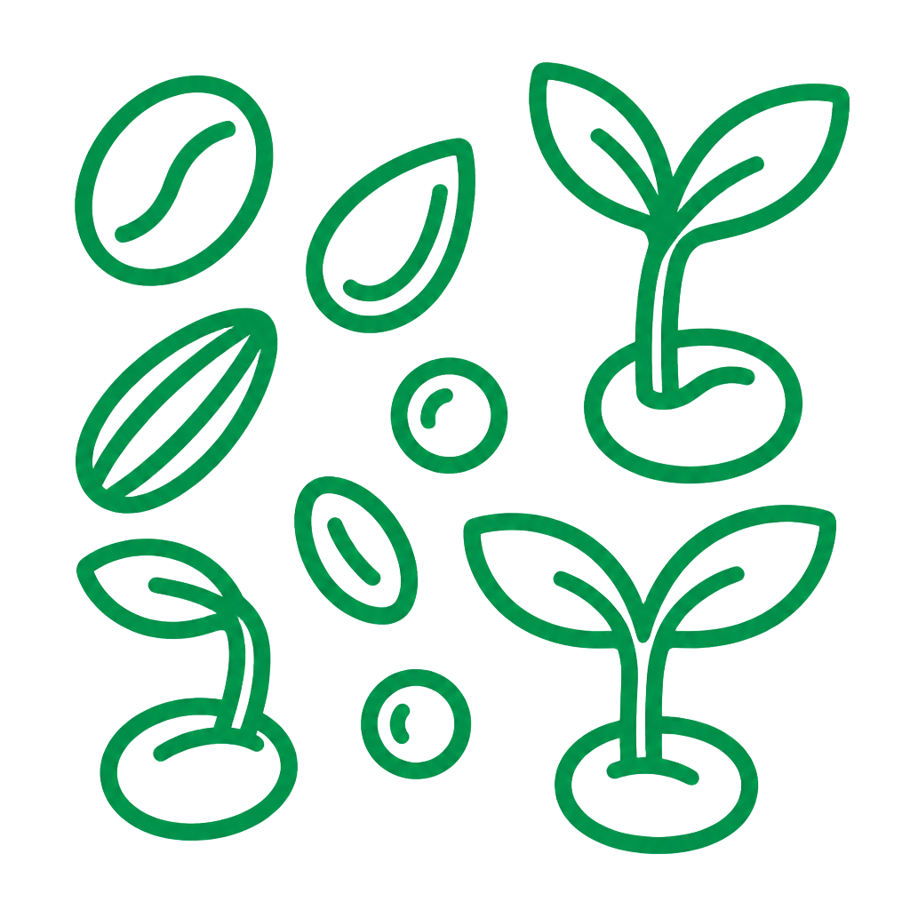 Seeds
